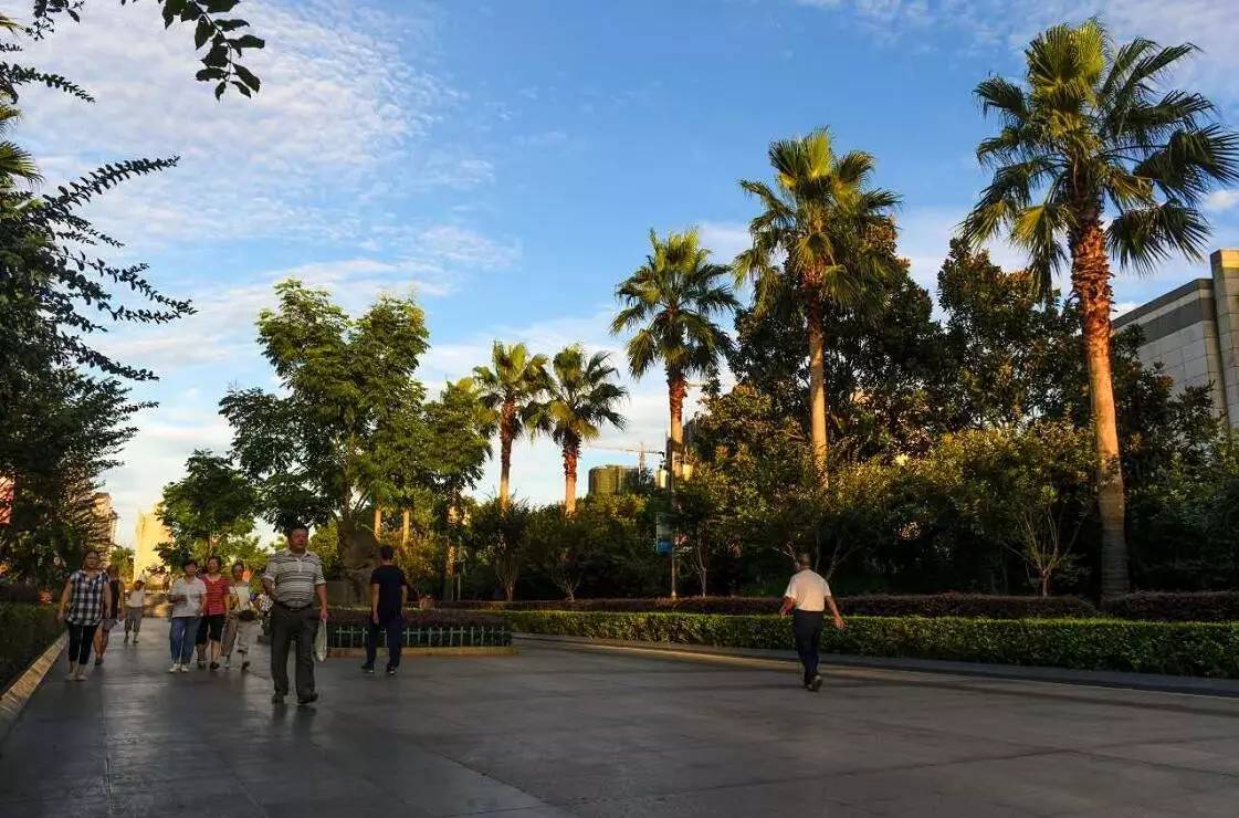 关于里尔迎社区盾关键赛，赛前防线松动，信心回归，细节决定成败的信息